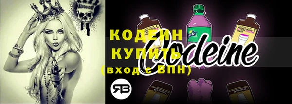 сатива Горнозаводск