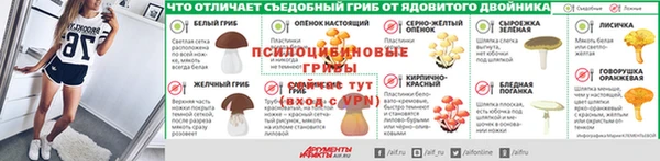 крисы Горняк