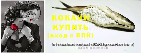 крисы Горняк