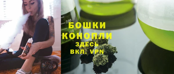 сатива Горнозаводск