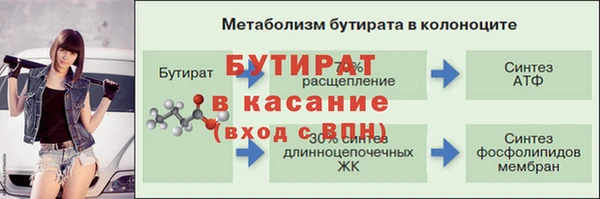 сатива Горнозаводск