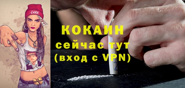 крисы Горняк