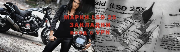 mdpv Вяземский