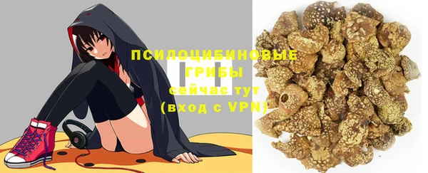 сатива Горнозаводск