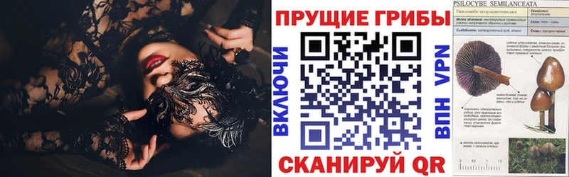 Купить  Менделеевск  Галлюциногенные грибы ЛСД 